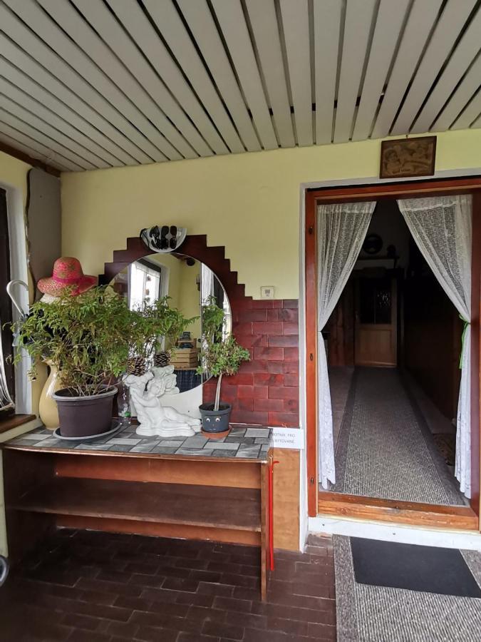 Apartman Ve Mlejne Nová Bystřice Dış mekan fotoğraf