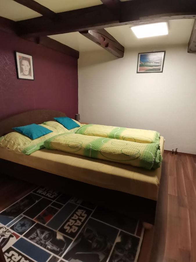 Apartman Ve Mlejne Nová Bystřice Dış mekan fotoğraf