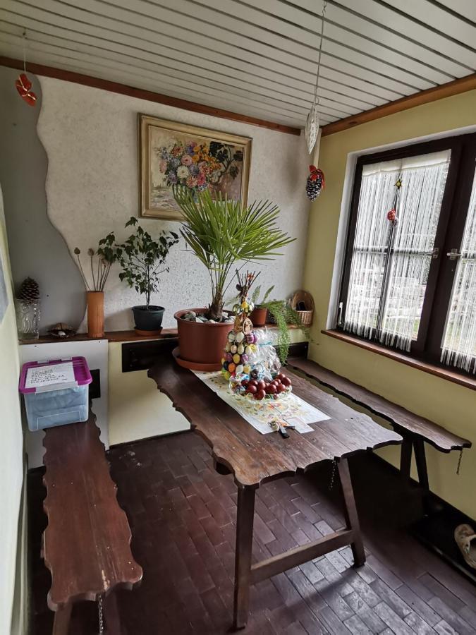 Apartman Ve Mlejne Nová Bystřice Dış mekan fotoğraf
