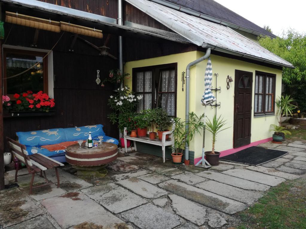 Apartman Ve Mlejne Nová Bystřice Dış mekan fotoğraf